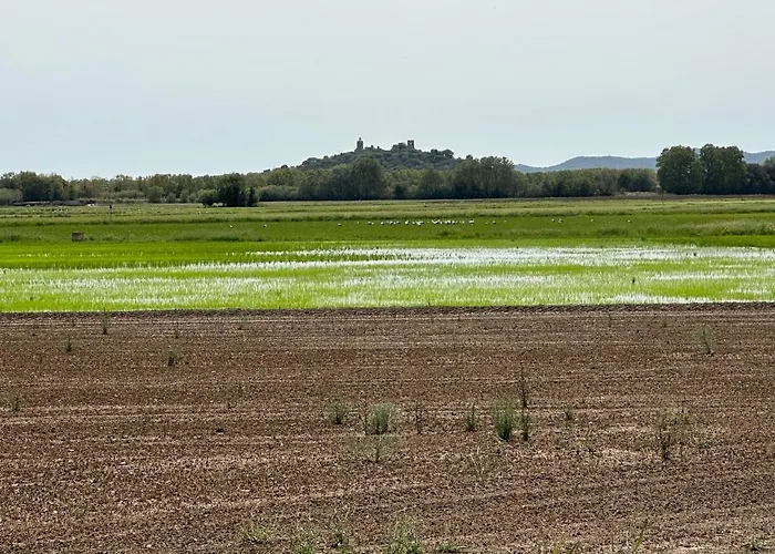 Primera Linea De Mar