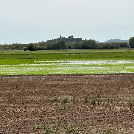 Primera Linea De Mar