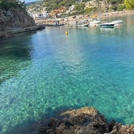 Primera Linea De Mar *