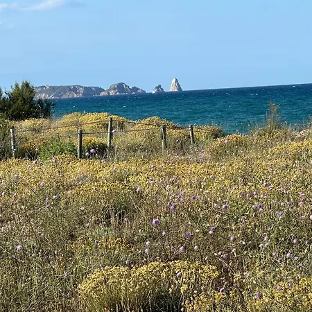 Primera Linea De Mar פאלס